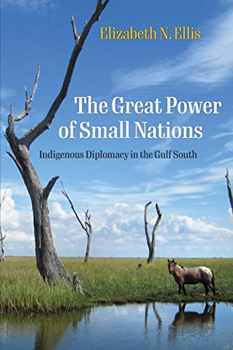 The Great Power of Small Nations book cover