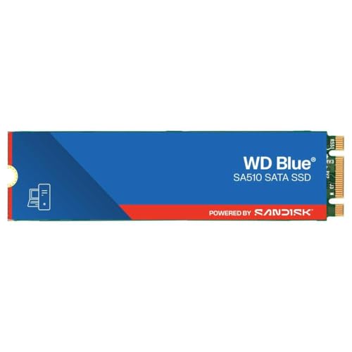 Western Digital 1TB WD Blue SA510 SATA Internal Solid State Drive SSD - SATA III 6 Gb/s, M.2 2280, Up to 560 MB/s - WDS100T3B0B