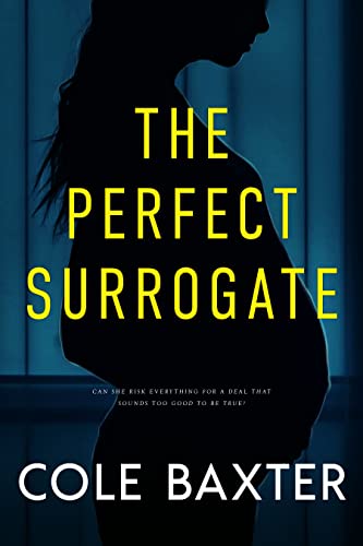 The Perfect Surrogate book cover