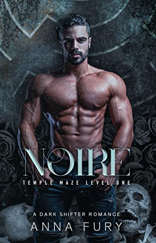 Noire book cover