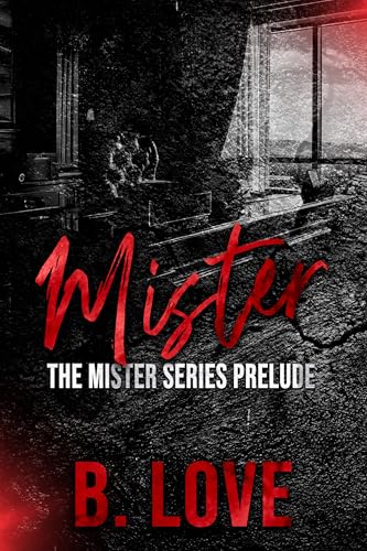 Mister book cover