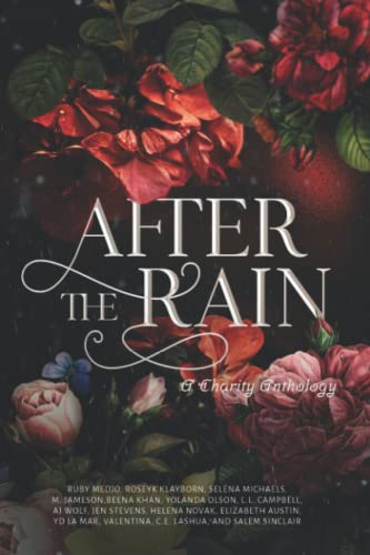 After the Rain: A Charity Anthology book cover