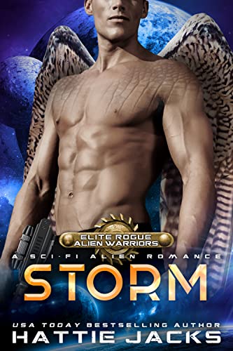 Storm book cover