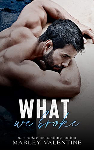 What We Broke book cover