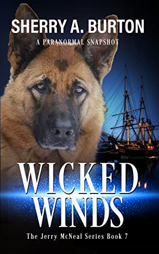 Wicked Winds book cover