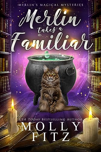 Merlin the Magical Fluff / Merlin Takes A Familiar book cover