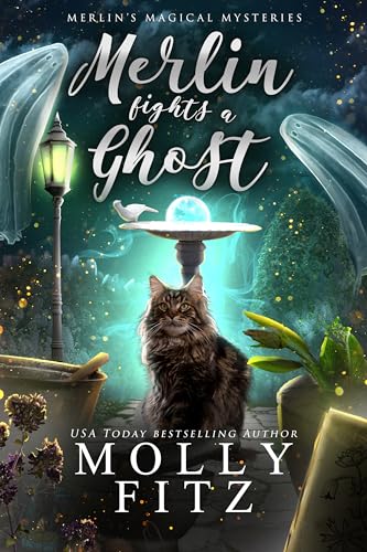 Merlin Fights a Ghost book cover