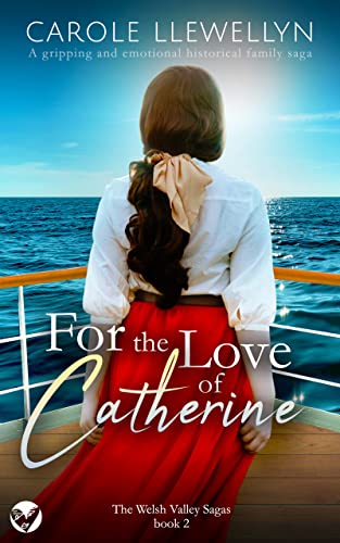 For the Love of Catherine book cover