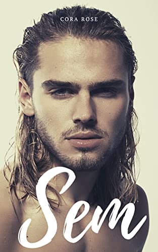 Sem book cover