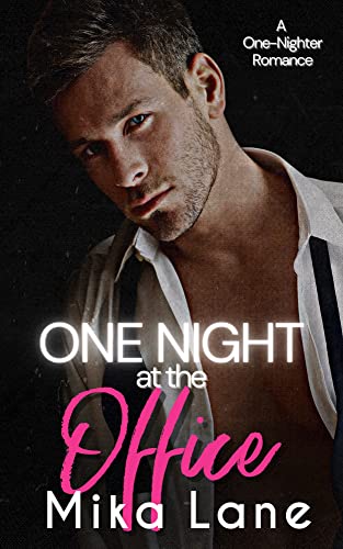 One Night at the Office book cover