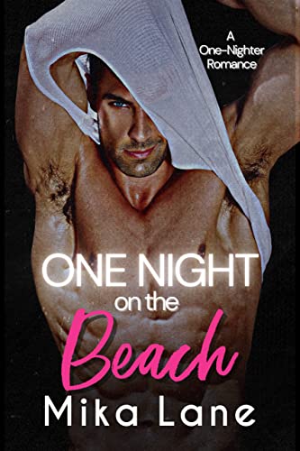 One Night on the Beach book cover