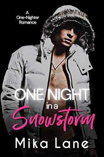One Night in a Snowstorm book cover