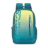 Skybags Flex 22L Backpack Blue