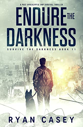 Endure the Darkness book cover