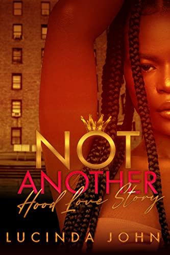 Not Another Hood Love Story book cover