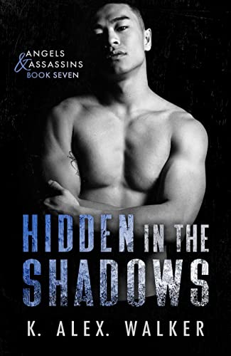 Hidden In The Shadows book cover