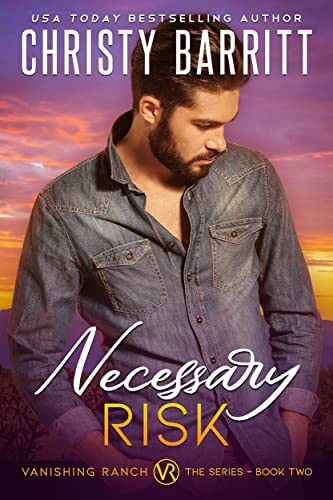 Necessary Risk book cover