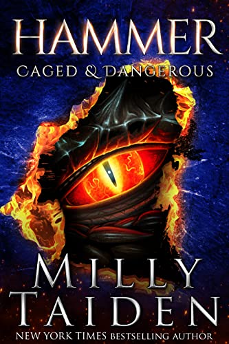Hammer book cover