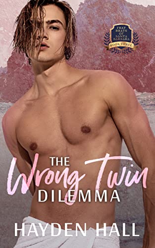 The Wrong Twin Dilemma book cover
