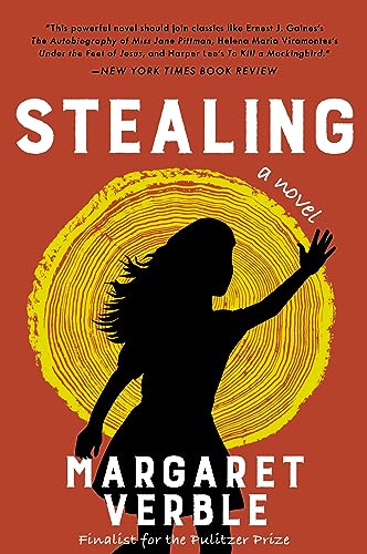 Stealing book cover
