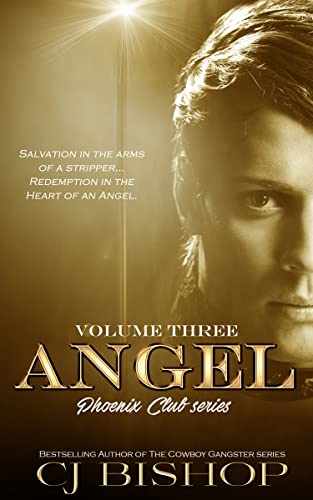 Angel book cover