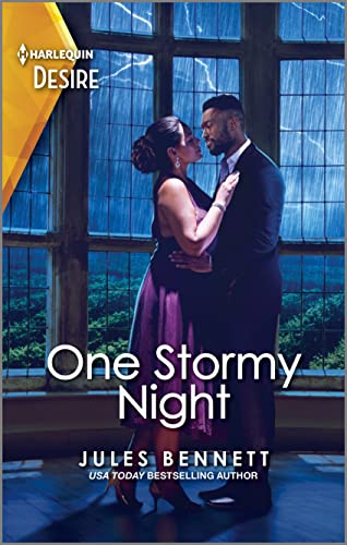 One Stormy Night book cover