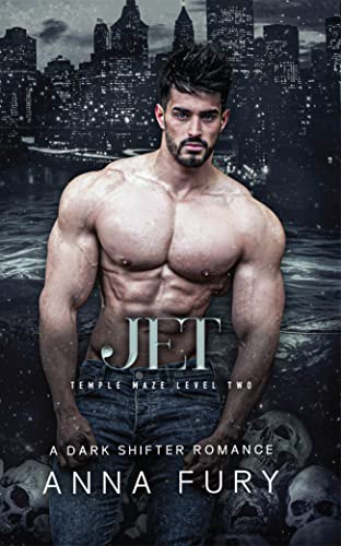Jet book cover