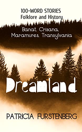 Dreamland book cover