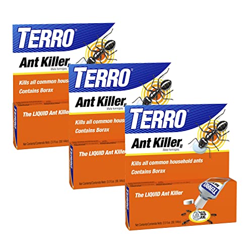 Liquid ant bait stations indoor