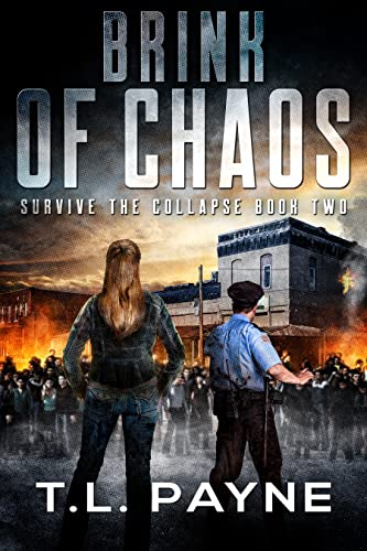 Brink of Chaos book cover