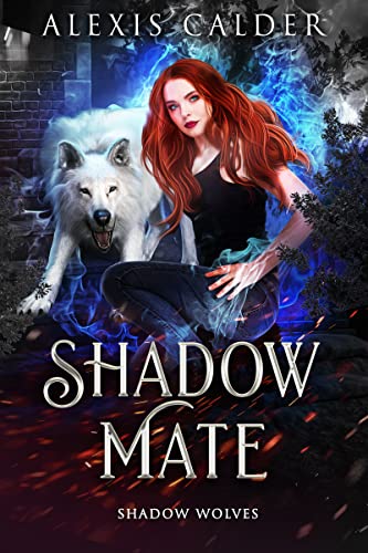 Shadow Mate book cover