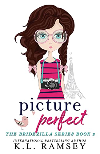 Picture Perfect book cover