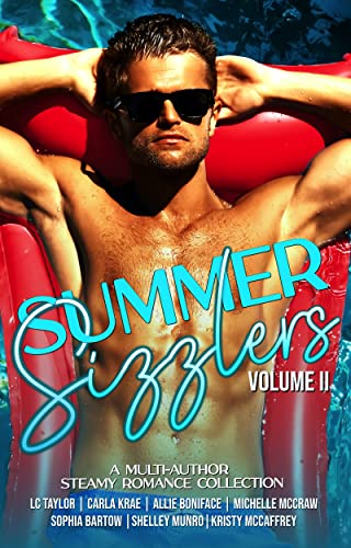 Summer Sizzlers, Vol 2 book cover