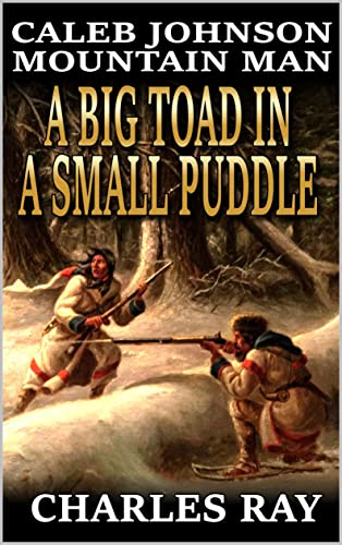 A Big Toad In A Small Puddle book cover