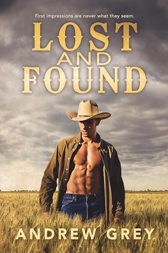 Lost and Found book cover
