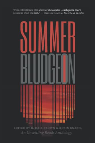 Summer Bludgeon book cover