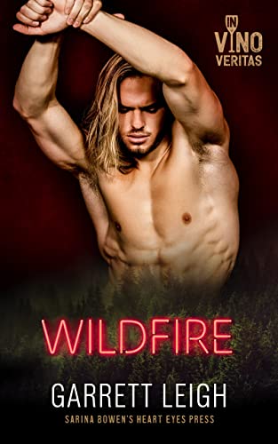 Wildfire book cover