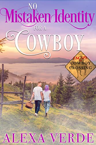 No Mistaken Identity for a Cowboy book cover
