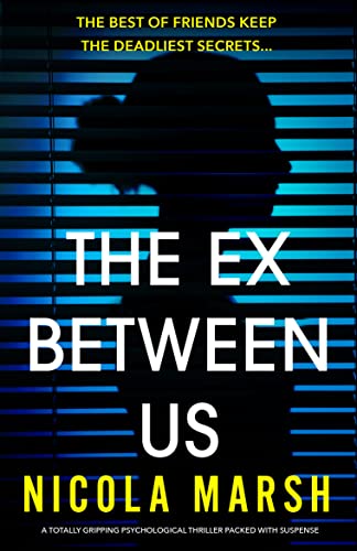 The Ex Between Us cover