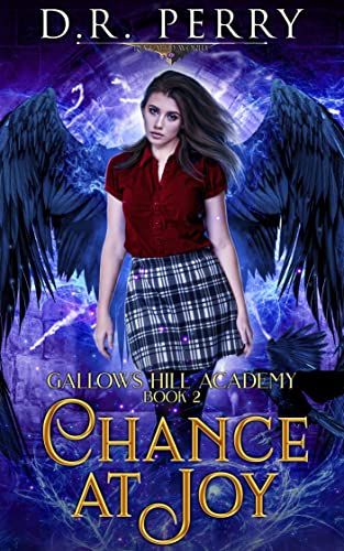 Chance At Joy book cover