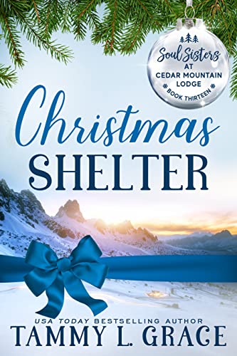 Christmas Shelter cover