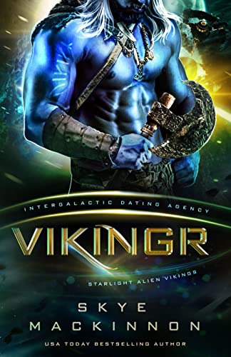 Vikingr book cover