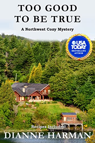 Too Good To Be True book cover