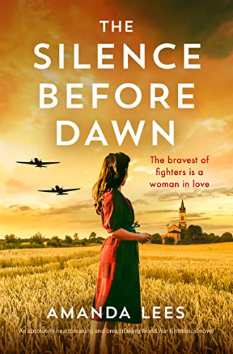 The Silence Before Dawn book cover