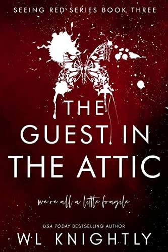 The Guest in the Attic book cover
