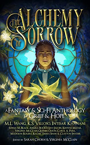 The Alchemy of Sorrow book cover