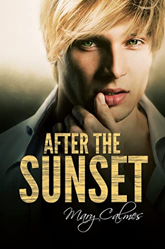 After the Sunset book cover