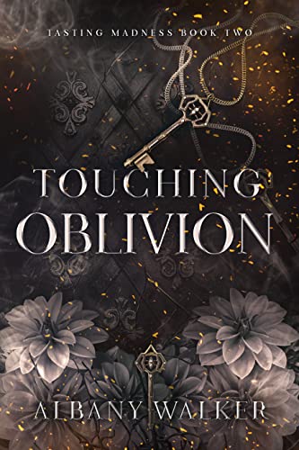 Touching Oblivion book cover
