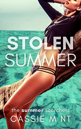 Stolen Summer book cover