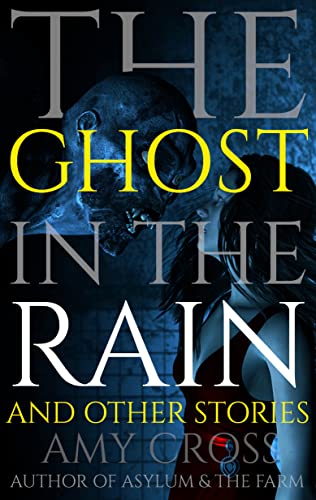 The Ghost in the Rain and Other Stories / The House We Haunted book cover